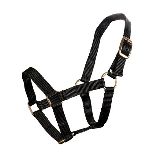 Piccolo Mini Halter - The Trading Stables