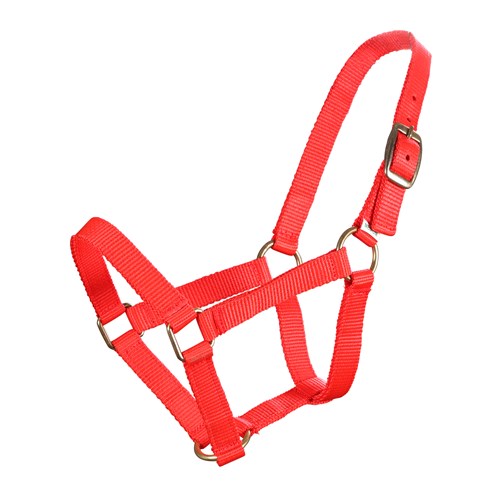 Piccolo Mini Halter - The Trading Stables