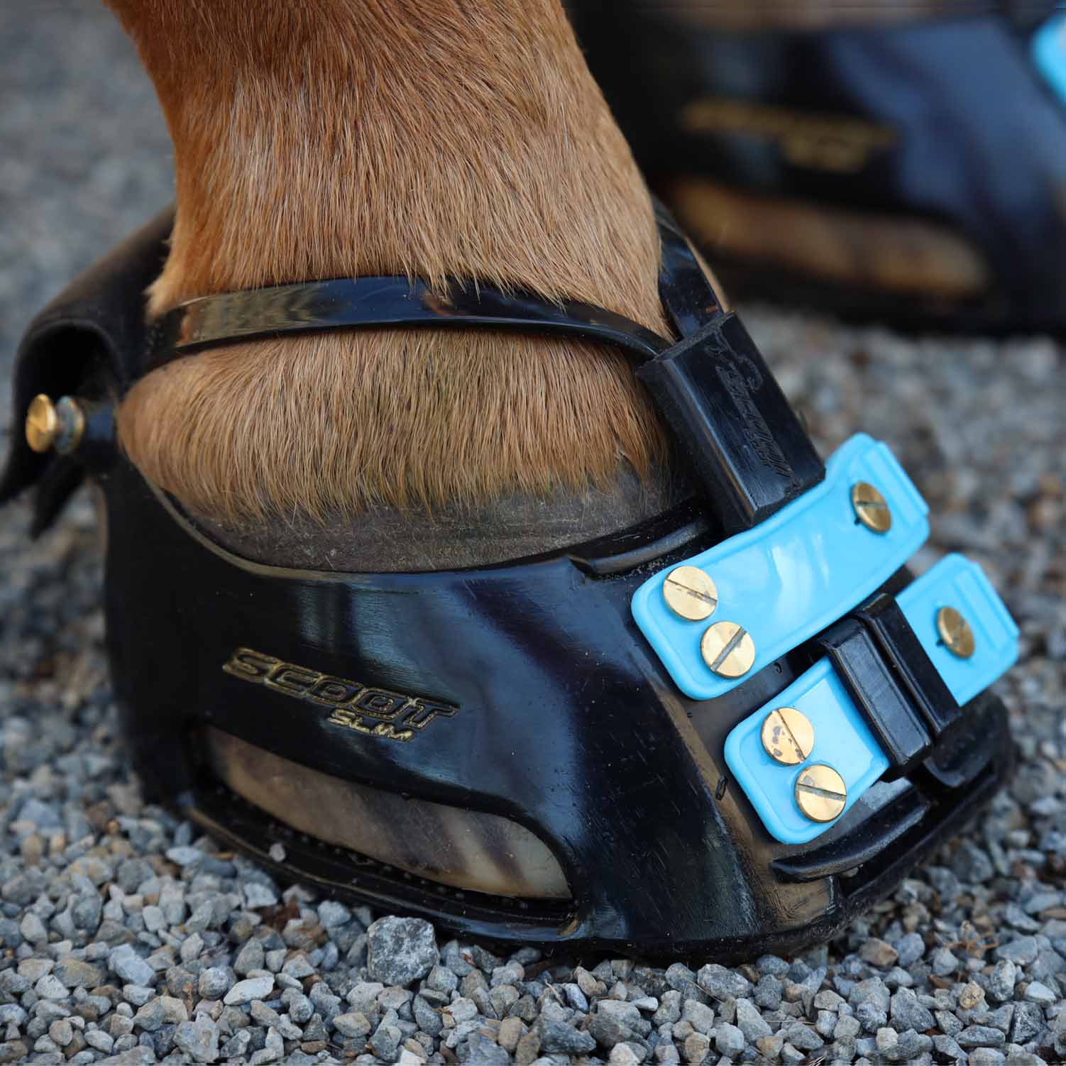 Scoot Boot Mud Strap - The Trading Stables