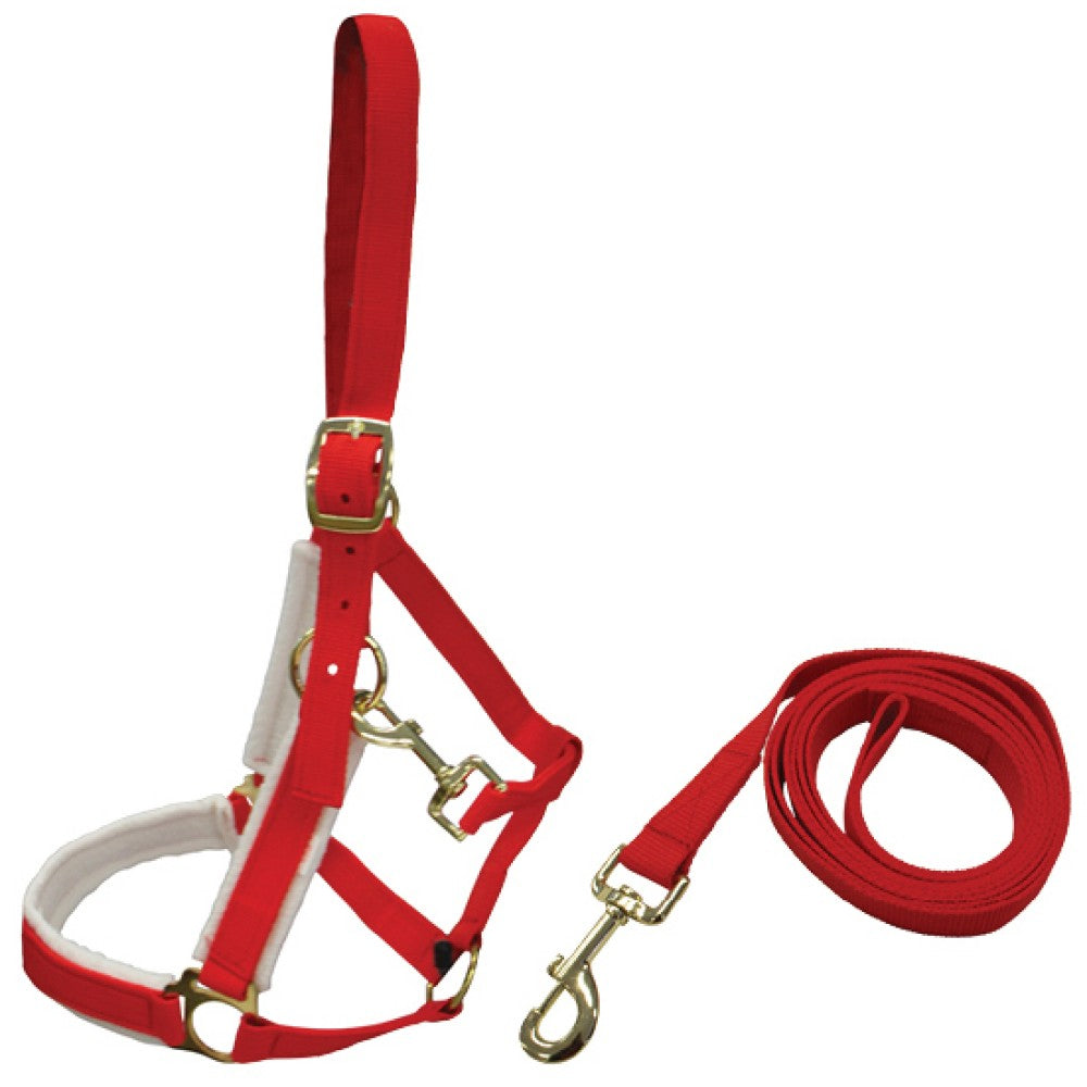 Xmas Halter - The Trading Stables