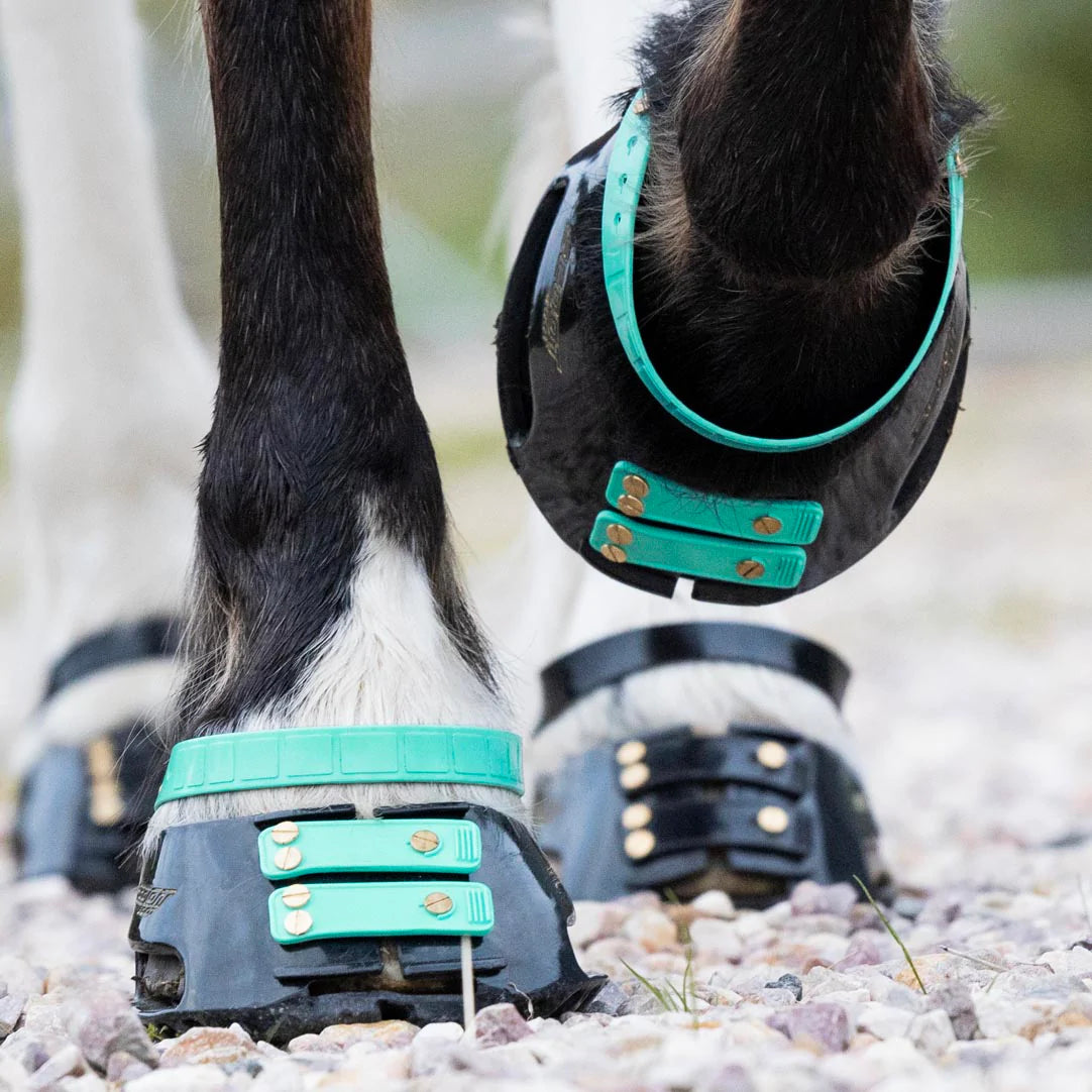 Pastern Strap Pack - The Trading Stables