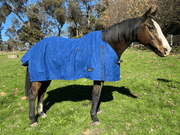 Equihart Wool Lined Canvas Rug - The Trading Stables