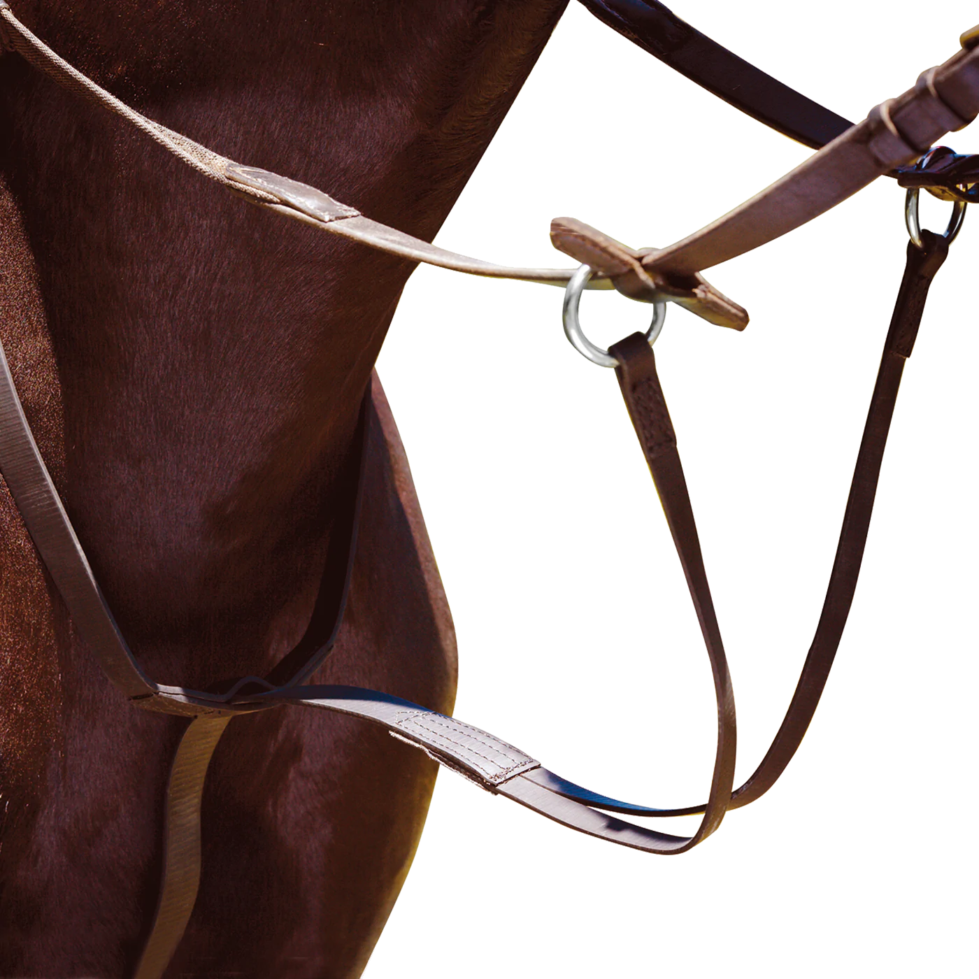 Wintec Running Martingale - The Trading Stables