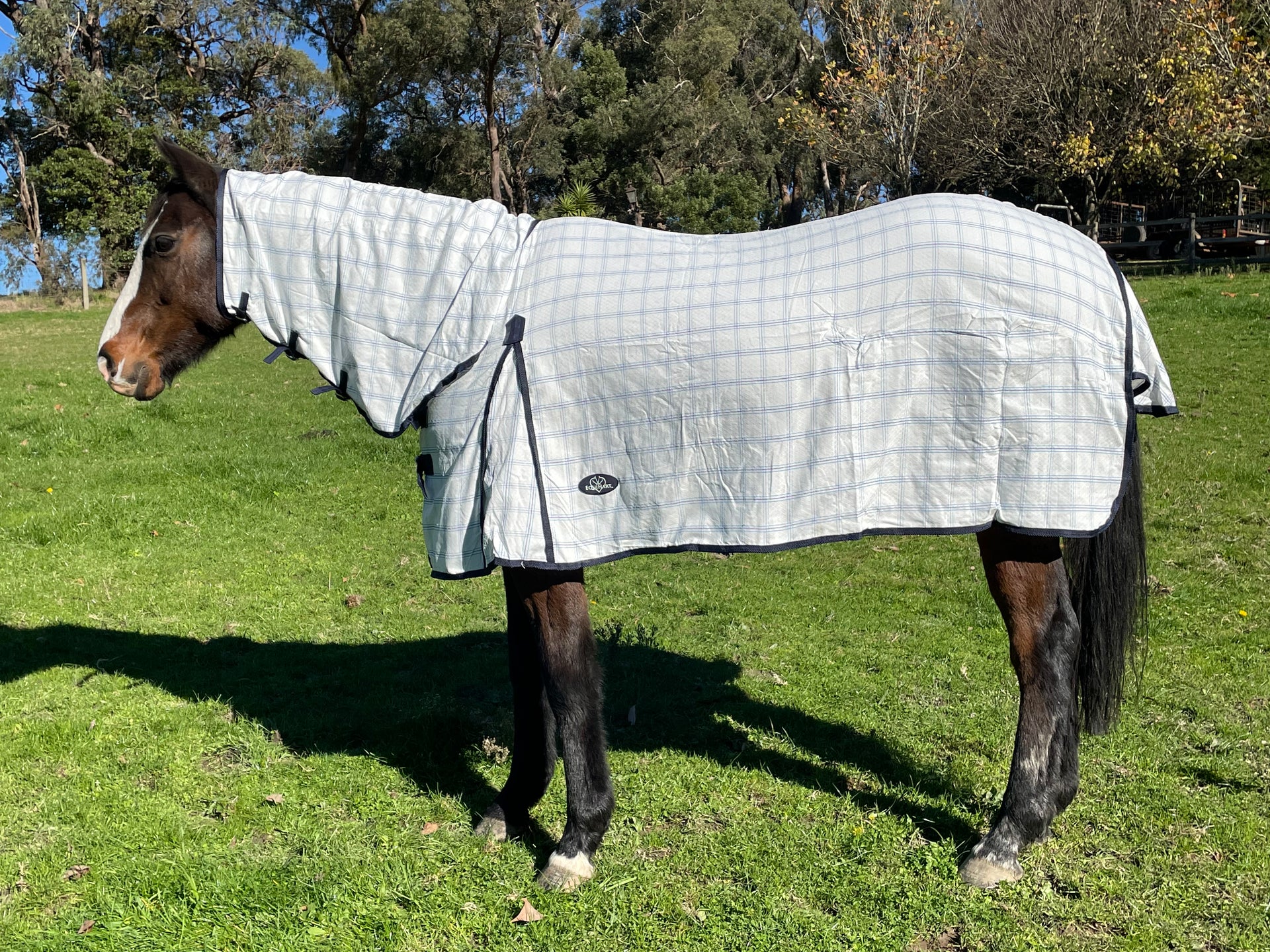 Equihart Ripstop Deluxe Cotton Combo - The Trading Stables