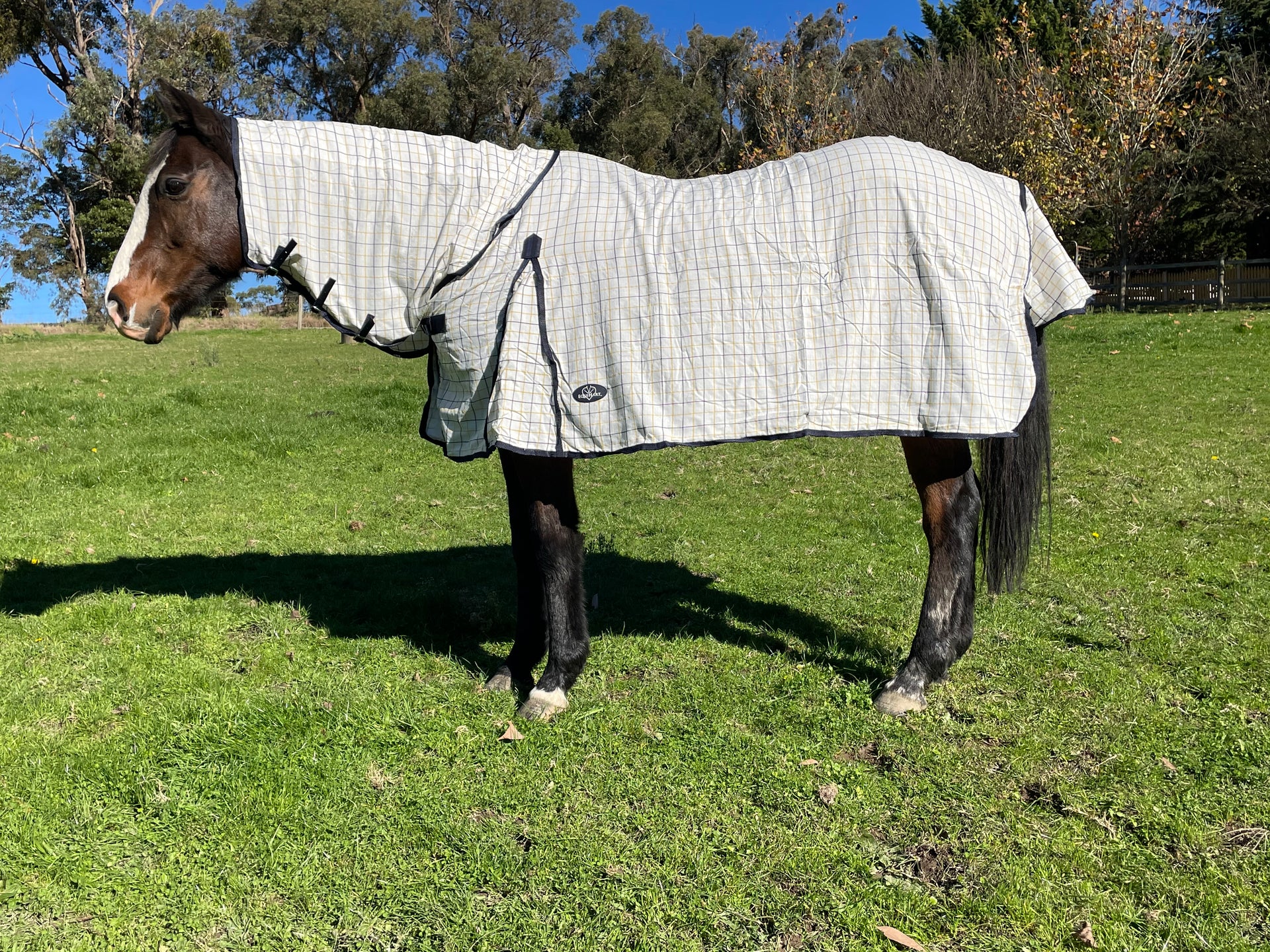 Equihart Budget Cotton Combo - The Trading Stables
