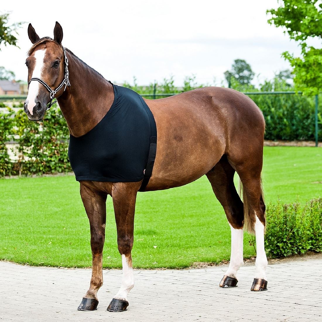 Comforce Shoulder Rug - The Trading Stables