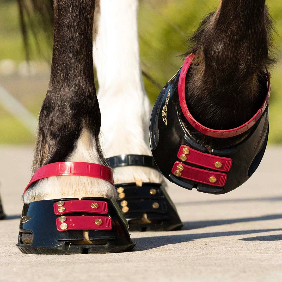 Pastern Strap Pack - The Trading Stables