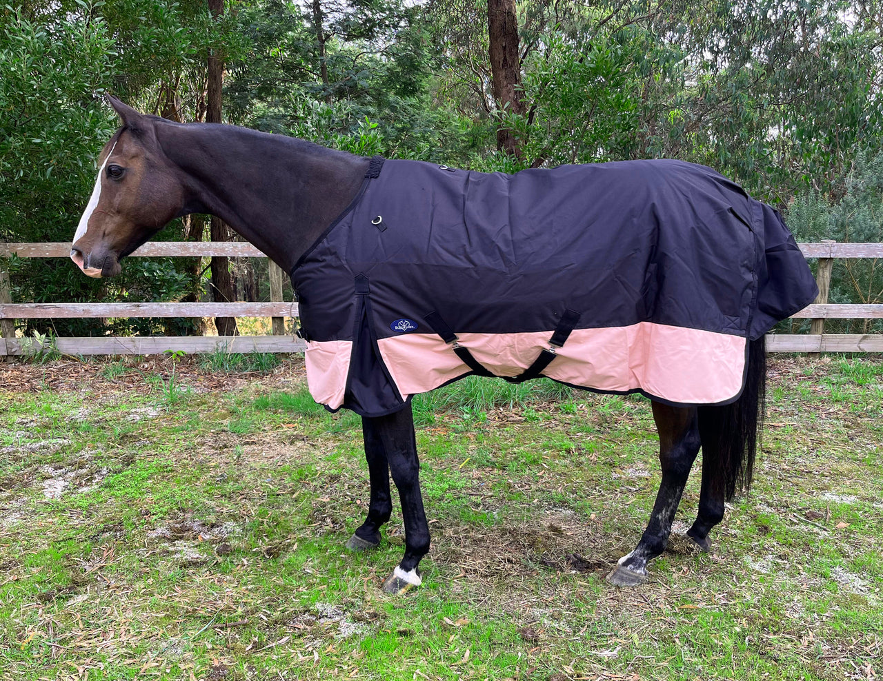 Equihart Storm 600D 250G Fill Rug - The Trading Stables